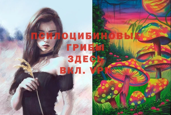мдма Богданович